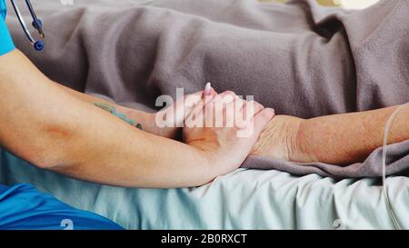 Nahaufnahme des jungen kaukasischen Assitanten, der die Hand einer alten Dame im Krankenbett nimmt. Stockfoto