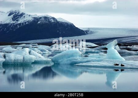 Eisberge auf dem See Joekulsárlón in Abendlicht, Island Stockfoto