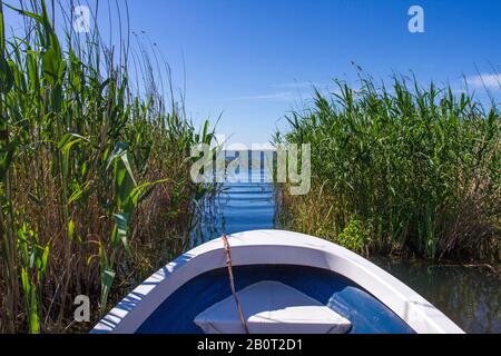 Ausflug mit einem Boot auf dem Donau-Delta, Rumänien, Donau-Delta Stockfoto