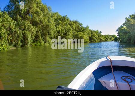 Ausflug mit einem Boot auf dem Donau-Delta, Rumänien, Donau-Delta Stockfoto