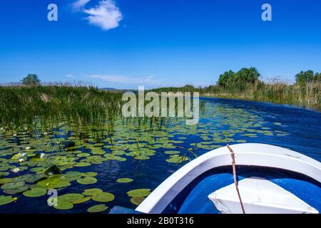 Ausflug mit einem Boot auf dem Donau-Delta, Rumänien, Donau-Delta Stockfoto