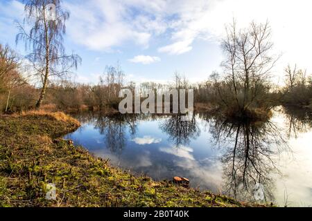 Winterreflexionen von Himmel und Bäumen in den ruhigen Gewässern der Felmersham Kies Pits, einem Wildtierreservat in Ouse Valley, Bedfordshire, Großbritannien Stockfoto