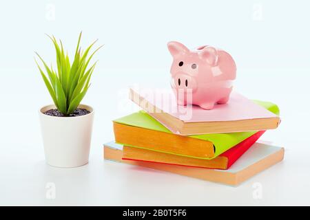 Piggy Bank über einen Stapel bunter Bücher. Kreatives Foto. Stockfoto