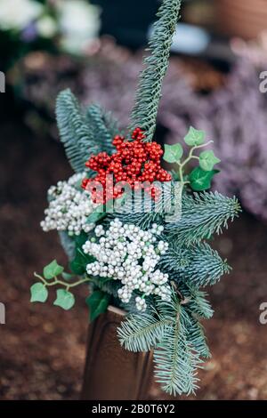 Zierpflanzen im Topf mit Nadeln und roten und weißen Beeren angebaut Stockfoto