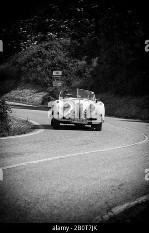 Pesaro COLLE SAN BARTOLO, ITALIEN - 17. MAI 2018: JAGUAR XK 140 OTS 1955 auf einem alten Rennwagen in der Rallye Mille Miglia 2018 die berühmte italienische Historica Stockfoto