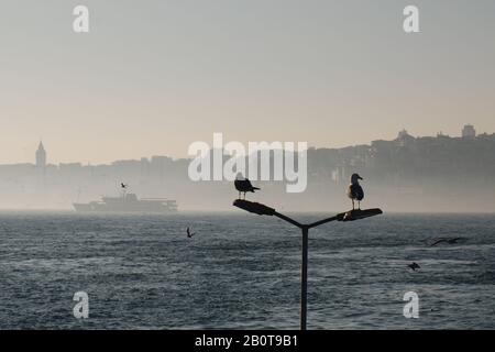 Eine Misty Istanbul Aussicht. Möwen, das Marmarameer und die europäische Seite.von Istanbul. Stockfoto