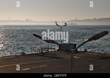 Ein Misty Istanbul View. Möwen, das Marmarameer und die europäische Seite von Istanbul Stockfoto