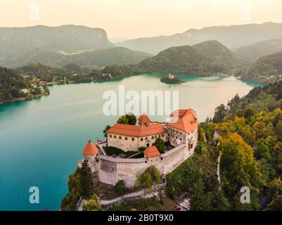 Luftansicht des Schlosses Bled mit Blick auf den Bleder See in Slowenien, Europa Stockfoto