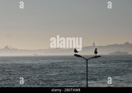 Eine Misty Istanbul Aussicht. Möwen, das Marmarameer und die europäische Seite.von Istanbul. Stockfoto