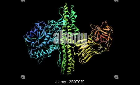 Botulinum-Molekül-Farbbanddarstellung 3d-Rendering Stockfoto