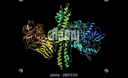 Botulinum-Molekül-Farbbanddarstellung 3d-Rendering Stockfoto