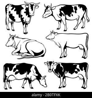 Vektorsatz für schwarze und weiße Kühe. Farm Cow Illustration, Rind schwarze Silhouette Stock Vektor