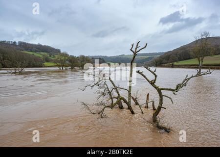 Der Fluss Wye spat bei Bissweir an der Grenze zu Monmouthshire - Gloucestershire. Februar 2020. Stockfoto