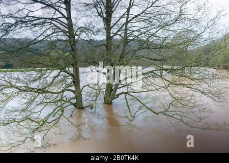 Der Fluss Wye spat bei Bissweir an der Grenze zu Monmouthshire - Gloucestershire. Februar 2020. Stockfoto