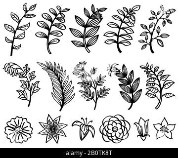Skizze handgezeichneter Zweig und Blätter Vektor dekoratives Blumennaturelement. Verzweigungsskizze in schwarz-floraler Blumendarstellung Stock Vektor
