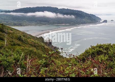 Wandern Sie hoch unter den Beeren, und genießen sie einen Blick auf den Pazifik und den Klamath River in Nordkalifornien. Stockfoto