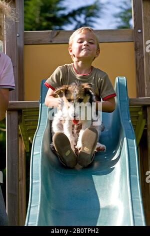 Wire-Haired Fox Terrier, Boy und Pup Spielen auf Slide Stockfoto