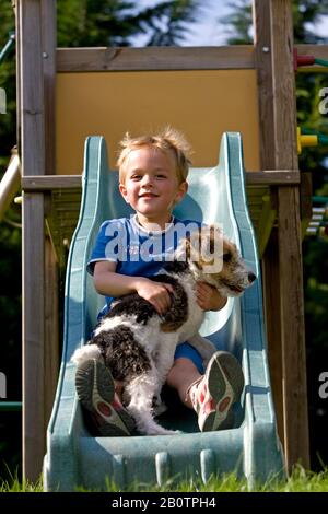 Wire-Haired Fox Terrier, Boy und Pup Spielen auf Slide Stockfoto