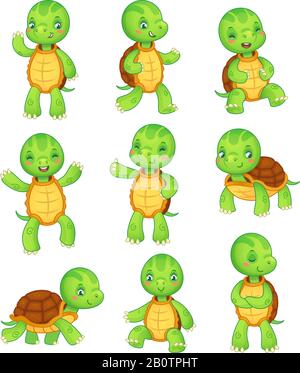 Cartoon-Schildkröte. Süße Kinder Schildkröten, wilde Tiere Zeichensatz. Sammlung von Tierillustrationen mit Schildkrötenfiguren und Vektorgrafiken Stock Vektor