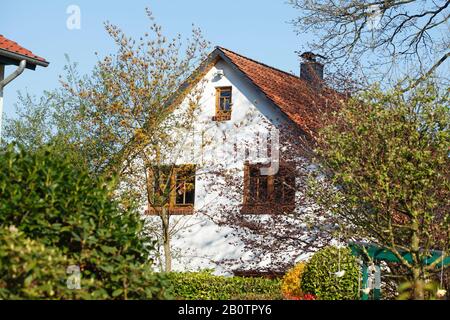 Modernes Wohnhaus, Einfamilienhaus, Fischerhude, Niedersachsen, Deutschland, Europa Stockfoto