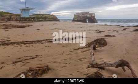 Santa Cruz California, ein stürmiger Seestrand und erodierender Fels mit hoch gelegenen Vögeln, die sich schmiegen. Eine Rettungsstation bleibt für besseres Wetter geschlossen. Stockfoto