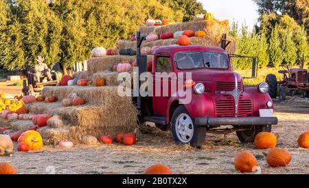 Country Pumpkins stapeln sich auf Haystacks Stockfoto