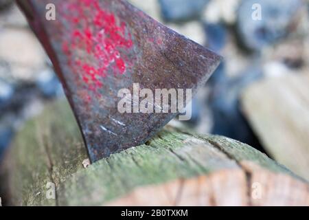 Das Bild zeigt eine Axt, die bereit ist, Holz für einen Brand zu hacken. Besitzer von Holzbrennern, Öfen und offenen Bränden werden ab nächstem Jahr keine Kohle oder nasses Holz mehr kaufen können, um darin zu verbrennen. Der Verkauf der beiden umweltfreundlichsten Kraftstoffe wird in England schrittweise eingestellt, um die Luftverschmutzung zu verringern, sagt die Regierung. Säcke von Holzstämmen, die in Baumärkten, Gartenzentren und Tankstellen verkauft werden, enthalten oft nasses Holz - eine Holzart, die mehr Verschmutzung und Rauch erzeugt. Die Öffentlichkeit solle zu "saubereren Alternativen" übergehen, sagt die Regierung. Stockfoto