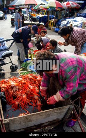 Rote Krabben, Sokcho Fischdock, Sokcho, Südkorea April 1998 Stockfoto