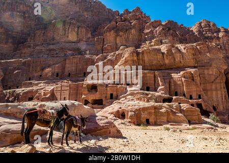 Petra, JORDANIEN - 30. JANUAR 2020: Gräber, die man beim gehen der Kulissen sehen konnte Strasse der Fassaden, waren Hunderte von Jahren entstanden. Petra komplexe Touristenattraktion, Haschemite Königreich Jordanien Stockfoto