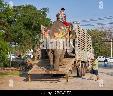 Elefanten gemalt für Songkran Urlaub, das ist Neujahr in Thailand. Stockfoto