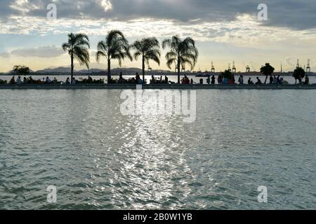Rio de Janeiro, Brasilien - 1. Mai 2017: Silhouetten von Kokospalmen in der Innenstadt von Rio de Janeiro in der Abenddämmerung Stockfoto