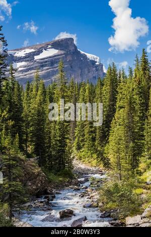 Rodel-Creek mit Rearguard Mountain Distant, im Mount Robson Provincial Park, British Columbia, Kanada Stockfoto