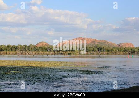 Kununurra Feuchtgebiete Western Australia Stockfoto