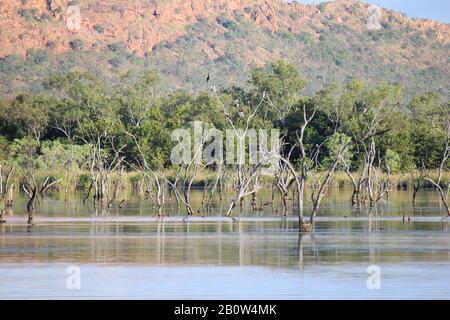 Kununurra Feuchtgebiete Western Australia Stockfoto