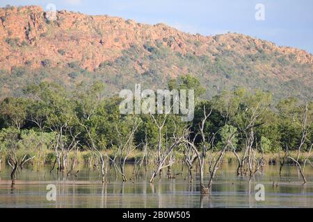 Kununurra Feuchtgebiete Western Australia Stockfoto
