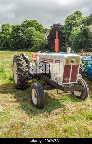 Vintage David Brown selectamatic 1200 Traktor wieder in Betrieb. Platz für Text. Stockfoto