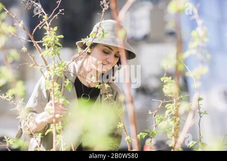 Porträt der jungen Frau mit braunem Haar, das Hut trägt, Baum mit jungen Zweigen im Vordergrund. Stockfoto