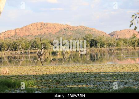 Kununurra Feuchtgebiete Western Australia Stockfoto