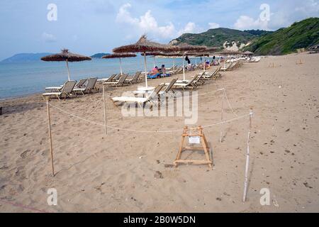 Markiertes und eingezäuntes Nest einer Loggerkopfschildkröte (Caretta caretta), Strand von Dafni, Gerakas, Insel Zakynthos, Griechenland Stockfoto