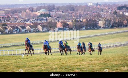 Newmarket Town in England ist die Rennpferd-Hauptstadt der Welt für Zucht und Training.Kraft- und Ausdauertraining kann auf Warren Hill gesehen werden. Stockfoto