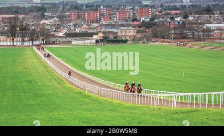 Newmarket Town in England ist die Rennpferd-Hauptstadt der Welt für Zucht und Training.Kraft- und Ausdauertraining kann auf Warren Hill gesehen werden. Stockfoto