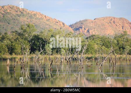 Kununurra Feuchtgebiete Western Australia Stockfoto