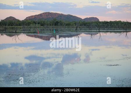 Kununurra Feuchtgebiete Western Australia Stockfoto