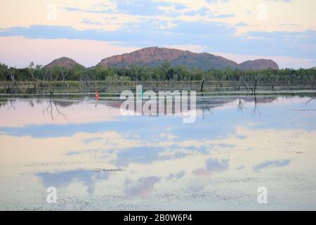Kununurra Feuchtgebiete Western Australia Stockfoto