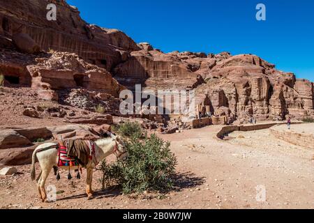 Petra, JORDANIEN - 30. JANUAR 2020: Gräber, die man beim gehen der Kulissen sehen konnte Strasse der Fassaden, waren Hunderte von Jahren entstanden. Petra komplexe Touristenattraktion, Haschemite Königreich Jordanien Stockfoto