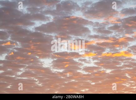 Rosarote Wolken sind ein hellblauer Himmel bei Sonnenaufgang Stockfoto