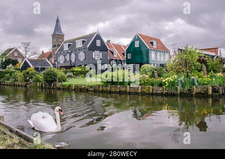 Traditionelle Fischerhäuser aus Holz, Kanal und Schwan, Marken, Niederlande. Blick auf Kanal, Brücke und traditionelle Fischerhäuser aus Holz im kleinen Dorf Stockfoto