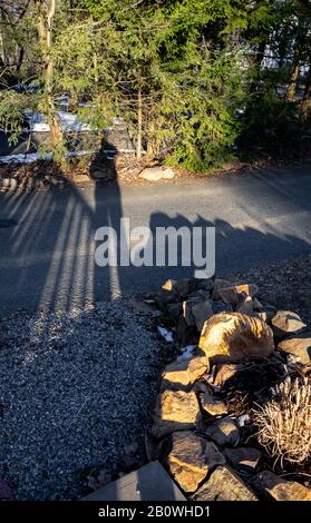 Nachmittag spätwinterlicher Schatten auf Asphalt im Garten Stockfoto