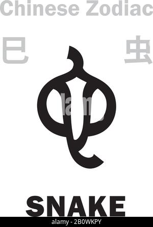 Astrologie-Alphabet: Schlangenzeichen [虫] des chinesischen Tierkreises. Chinesisches Zeichen, hieroglyphisches Zeichen (Symbol). Stock Vektor