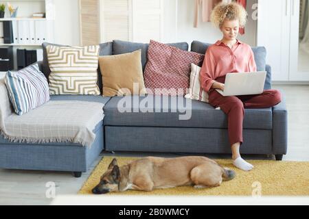 Junge Frau sitzt auf dem Sofa mit Laptop auf den Knien und tippt darauf mit Hund, der in der Nähe von ihr im Wohnzimmer liegt Stockfoto